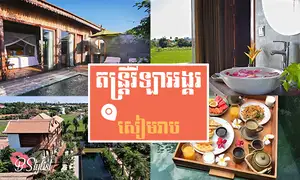 តន្ត្រីវីឡាអង្គរ រីស៊ត​នៅ​ខេត្តសៀមរាប ហ៊ុំព័ន្ធដោយ​វាលស្រែ ខ្យល់​អាកាសបរិសុទ្ធ