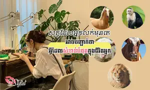 សត្វ​​ដែល​អ្នក​លក់​ចេញ​មុន​គេ អាច​បញ្ជាក់​ថា​អ្វី​ដែល​សំខាន់​បំផុត​ក្នុង​ជីវិត​អ្នក​